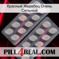 Красный Жеребец Очень Сильный 07